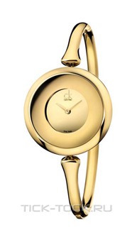 ���� Calvin Klein K1C23909